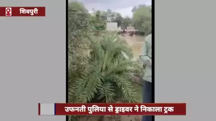 शिवपुरी: उफनती पुलिया से ड्राइवर ने निकाला ट्रक, ग्रामीणों के रोकने पर भी नहीं माना