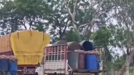 కొవ్వూరు: బుచ్చిలో చికెన్ వ్యర్థాల వాహనాల పట్టివేత