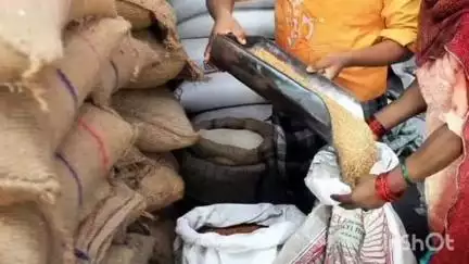 मंडी: मण्डी जिला में वस्तुओं के ढुलान, लदाई एवं उतराई के लिए आमंत्रित की गई निविदाएं