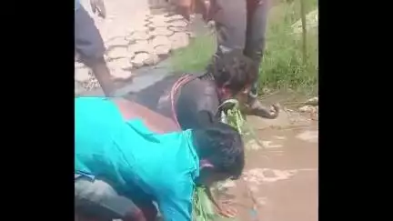 ଧରାକୋଟ: ଖାରିଗୁମା ଗ୍ରାମରେ ଗୋ ଚାଲାଣ ସନ୍ଦେହରେ କଙ୍ଗାରୁ କୋର୍ଟ ମାମଲାରେ ନଅ ଅଟକ ସହ ତଦନ୍ତ ଜାରି ରହିଥିବା ପୋଲିସ ର ସୂଚନା
