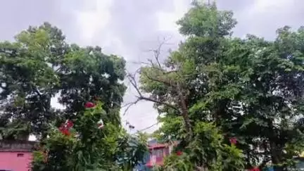 ଘସିପୁରା: ଆସନ୍ତା ଦୁଇ ଦିନ କେନ୍ଦୁଝର ଜିଲ୍ଲାରେ ବିଜୁଳି ଘଡ଼ଘଡ଼ି ଓ ବର୍ଷା ନେଇ ୟେଲୋ ୱାନିଂ