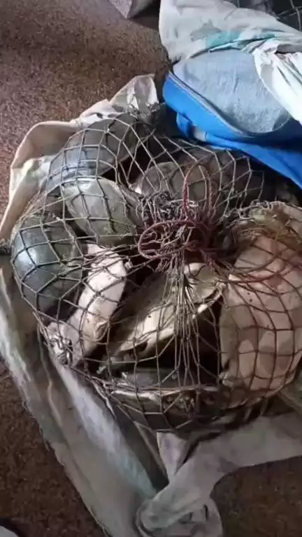 रेल पुलिस पटना ने  Operation Clean के अंतर्गत बड़ी कार्रवाई करते हुए  दिनांक 22.06.25 को मोबाइल चोरी, लैपटॉप चोरी, चैन..