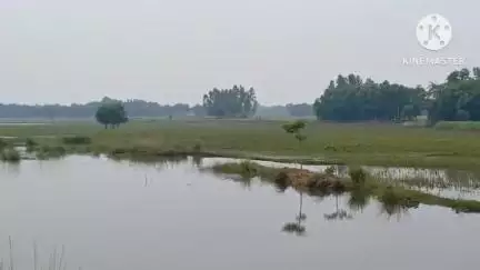 সাঁকরাইল: সাঁকরাইল ব্লকের একাধিক গ্রামে প্রবল বৃষ্টির জেরে ধান ও সব্জি চাষের ব্যাপক ক্ষতির সম্মুখীন, মাথায় হাত চাষীদের