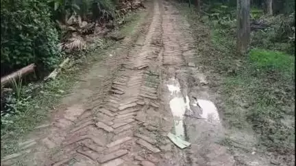 নামখানা: হরিপুর গ্রামের ধানিখাল সংলগ্ন এলাকায় বেহাল রাস্তা, সমস্যায় স্থানীয়রা #jansamasya