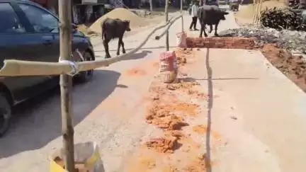 मधुबनी: मेयर अरुण राय के निर्देश पर माल गोदाम रोड स्थित जर्जर सड़क की मरम्मत हुई पूर्ण