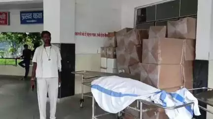 सुपौल: भपतियाही में मूंग तोड़ रही महिला की सर्पदंश से मौत, अस्पताल ले जाते समय तोड़ा दम