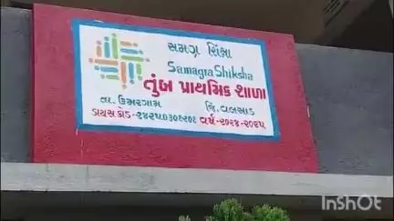 ઉમરગામ: વલસાડની ગ્રા.પં. ચૂંટણીમાં 51 પંચાયતોમાં 81.60 ટકા મતદાન