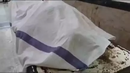 पनागर: छितरी खुर्द में जहरीले साँप के काटने से 25 वर्षीय महिला की मौत, मर्ग कायम