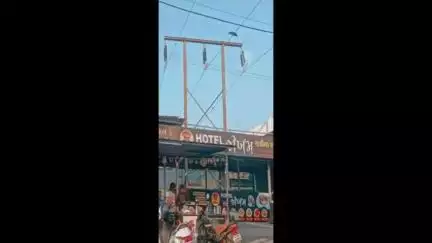ગુંદાળા ચોકડી પાસે 55 કેવી વીજપોલ પાસે આવેલી હોટેલ દૂર કરવા માગણી, કોંગ્રેસ તાલુકા પ્રમુખે લેખિત