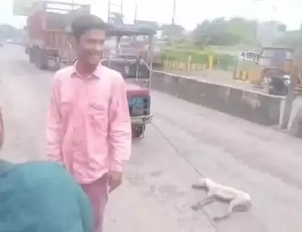 कानपुर: बाबू पुरवा के बगाही इलाके में कुत्ते को ई-रिक्शा से कुचलकर मौत के मामले में FIR दर्ज
