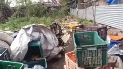 मेदिनीनगर (डालटनगंज): सद्दीक चौक पर सब्जी की दुकान में चोरी, चोर कैरेट समेत सामान ले उड़े