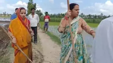 पीलीभीत: पिपरिया संतोष में धान की रोपाई करने पहुंची विधवा महिला सहित 5 लोगों की पिटाई, पुलिस से की गई शिकायत