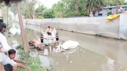 सहसवान मोहल्ला  सैफुल्ला गंज में दो बैलों की मौत हो चुकी है मौके पर उप जिलाधिकारी प्रेमपाल सिंह ने किया निरीक्षण बिजली