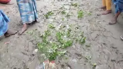 ভগবানগোলা ২: ফরিদপুর টুলটুলি পাড়ায় রাস্তার বেহাল দশা  ক্ষুব্ধ গ্রামবাসীদের বিক্ষোভ #jansamasya