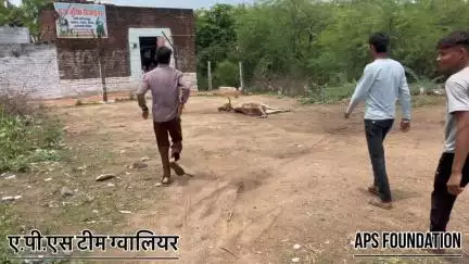 मालिक ने उसे मरने के लिए छोड़ दिया …

Respect girls help poor help animals 

#apsgurjar #help #viral #support #gwalior
