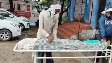 डिंडौरी: रूसा गांव के बंजर टोला में मंदिर में सो रहे युवक को सांप ने काटा, अस्पताल में इलाज के दौरान हुई मौत