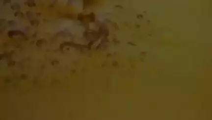 शारीरिक गतिविधियों की कमी न केवल मोटापा बढ़ाती है, बल्कि यह गंभीर स्वास्थ्य समस्याओं का कारण भी बन सकती है। @MoHFW_INDIA