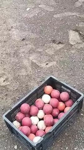 बारिश होने के बाद भी हमारे खिलाड़ी नहीं रुकते अभ्यास से। सुबह अभ्यास करते हुए खिलाड़ी। 8827267707 जलेश यादव