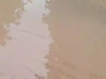हरिन कॉल बसंतपुर पीरपैंती भागलपुर (बिहार)
नल जल योजना घर पर ❌❌ नल जल योजना सड़क पर✔️✔️
हरिन कॉल बसंतपुर पीरपैंती