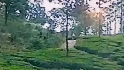 கூடலூர்: பாண்டியார் குடோன் பகுதியில் சாலையில் நடந்து சென்றவரை துரத்திய காட்டு யானை