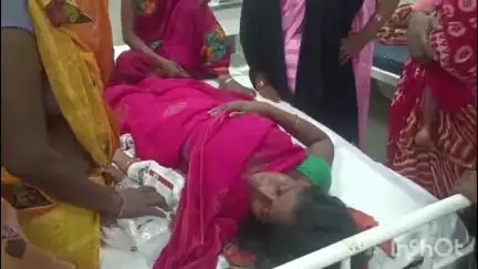 हुलासगंज: चीरी गांव में एक महिला को जहरीले सांप ने काटा, इलाज जारी