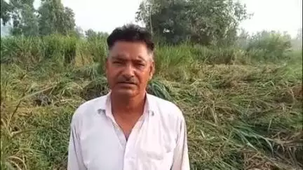 खुर्जा: अरनिया क्षेत्र के गांव सूरतपुर कला से पीड़ित ने थाने पहुंचकर खेत में खड़ी फसल को नष्ट करने का लगाया आरोप