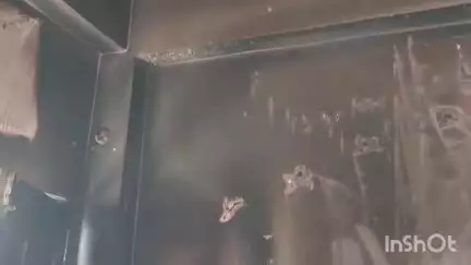 सोलन: सोलन हाउसिंग बोर्ड में किराये के मकान में लगी आग, जानी नुकसान से हुआ बचाव
