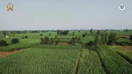 वर्तमान में देश में 12 करोड़ किसान 'प्रधानमंत्री किसान सम्मान निधि' का लाभ प्राप्त कर रहे हैं।