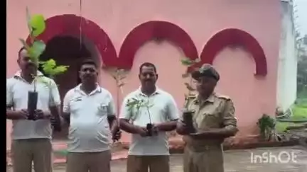 प्रतापगढ़: जिला कलेक्टर डॉ. अंजलि राजौरिया के निर्देशन में प्रतापगढ़ जिला कारागृह में 1000 पौधों का वृक्षारोपण शुरू