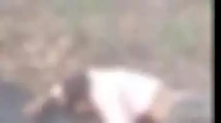 बिजनौर: बिजनौर में नूरपुर मार्ग पर पैजानिया गांव के पास सड़क हादसे में घायल युवक की उपचार के दौरान हुई मौत