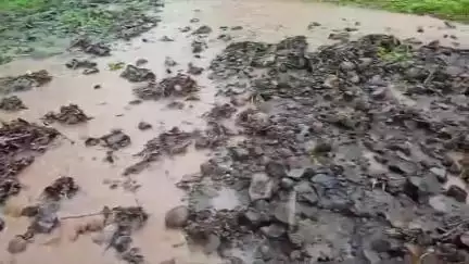 अक्राणी: केलापाणी गाव शिवारात मुसळधार पावसामुळे शेती वाहून गेल्याने; शेतकऱ्यांवर दुबार पेरणीचे संकट