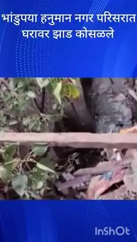 मुंबई: भांडुप च्या हनुमान नगर परिसरात घरावर झाड कोसळले