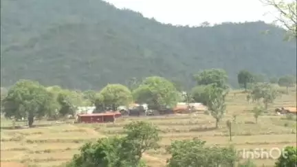 மேட்டுப்பாளையம்: பெரியநாயக்கன்பாளையம் அருகே காந்தி நகரில் முதன் முறையாக விவசாய தோட்டத்தில் இருந்த காட்டுப்பன்றி வனத்துறையின் மூலம் பிடிக்கப்பட்டது