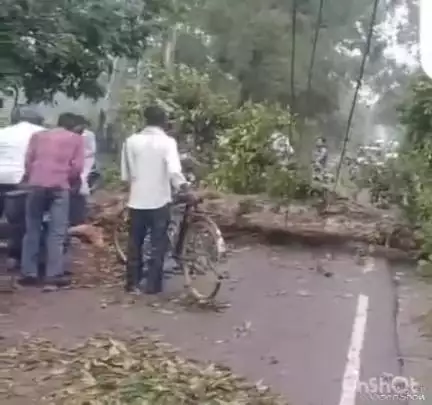 नकुड: तेज आंधी तूफान में सरसावा-चिलकाना रोड पर टूटकर गिरा विशालकाय पेड़, वाहनों का लगा जाम
