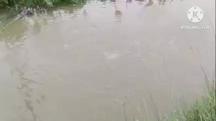 তিনিচুকীয়া: মাকুম বাইপাছত অইলৰ পাইপলাইন ফুটি গেছ নিৰ্গমনৰ ঘটনা, অতি শীঘ্ৰে ৰোধ কৰিবলৈ দাবী মাকুম আছুৰ সম্পাদক মনোৰম চুতীয়াৰ