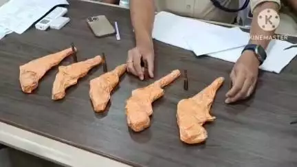 ডায়মন্ডহারবার ১: মগরাহাট এলাকা থেকে তিনজন দুষ্কৃতী পাঁচটি বেশি বন্দুক ও কার্তুজ উদ্ধার সাংবাদিক সম্মেলন করল ডায়মন্ড হারবারে ADSP