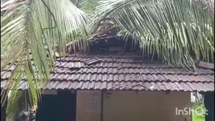 പട്ടാമ്പി: ശക്തമായ കാറ്റിൽ തെങ്ങ് മേൽക്കൂരയിൽ പതിച്ചു, കൂട്ടകടവിൽ കുടുംബം രക്ഷപ്പെട്ടു