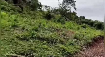 தோவாளை: பூதப்பாண்டி மலையடிவாரத்தில் சாராயம் காய்ச்ச முயன்றதாக 3 பேர் கைது