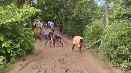 বাঘমুণ্ডী: ফের শালডাবরা গ্ৰামে বেহাল রাস্তার দশা তুলে ধরতে রাস্তার মধ্যে ধানের চারা পুঁতে অভিনব প্রতিবাদ গ্ৰামবাসীদের