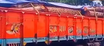 बैहर: वन विभाग की बड़ी कार्रवाई, मोहगांव के पास अवैध लकड़ी से भरा ट्रक ज़ब्त, चालक फरार