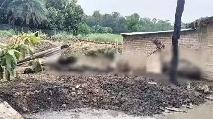 रीगा: चंडीहा बकरी फार्म में भीषण आग, 22 बकरियां और एक भैंस जिंदा जली