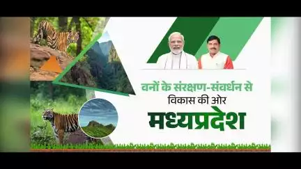 वनों के संरक्षण-संवर्धन से विकास की ओर मध्यप्रदेश...