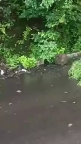 सातारा: यवतेश्वर घाटात दगड, माती रस्त्यावर आली, बांधकाम विभागाने हटवली