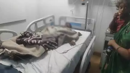 झालरापाटन: बोरदा गांव में पटाखा चलाने के दौरान एक बालक पटाखे से जलकर घायल, जिला अस्पताल में भर्ती