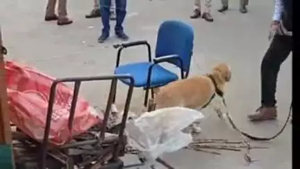 हिसार: करनाल फोरेंसिक टीम करेगी धमाके की जांच, हिसार हादसे में बम निरोधक दस्ते ने लोहे के टुकड़े को कब्जे में लिया