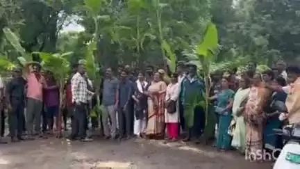 ನರಸಿಂಹರಾಜಪುರ: ಗುಂಡಿ ತಪ್ಪಿಸಲು ಹೋಗಿ ಬಿದ್ದು ಬೈಕ್ ಸವಾರ ಸಾವು ಹಿನ್ನೆಲೆ ಮಡಬೂರಲ್ಲಿ ರಸ್ತೆಗೆ ಬಾಳೆಗಿಡ ನೆಟ್ಟು ಪ್ರತಿಭಟನೆ