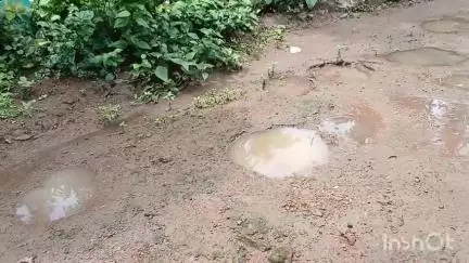 നിലമ്പൂർ: ജീവിതം വഴിമുട്ടിച്ച് ഒറ്റക്കൊമ്പന്റെ വിളയാട്ടം, പെരുമ്പത്തൂർ ആലോടി നിവാസികൾ കാട്ടാന ഭീതിയിൽ #localissue