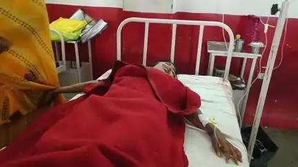 बुरहानपुर नगर: बुरहानपुर: नाना नगरी में घर के आंगन में झाड़ू लगा रही महिला को सांप ने काटा, अस्पताल में भर्ती