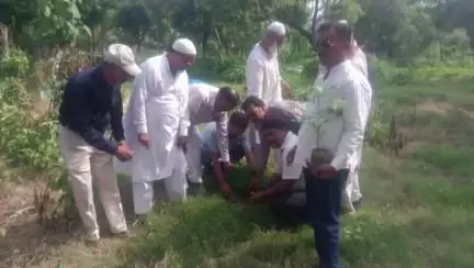 गोरखपुर: मोहर्रम के मौके पर यादगारें हुसैन की याद में कच्चीबाग कब्रिस्तान में इमामबाड़ा मुतवल्लियान कमेटी ने किया वृक्षारोपण