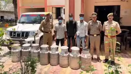 बाह: बसई अरेला पुलिस और सर्विलांस टीम की संयुक्त कार्रवाई में तीन चोर गिरफ्तार, बरामद हुईं दूध की 8 टंकियां